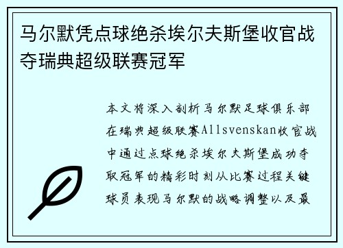马尔默凭点球绝杀埃尔夫斯堡收官战夺瑞典超级联赛冠军